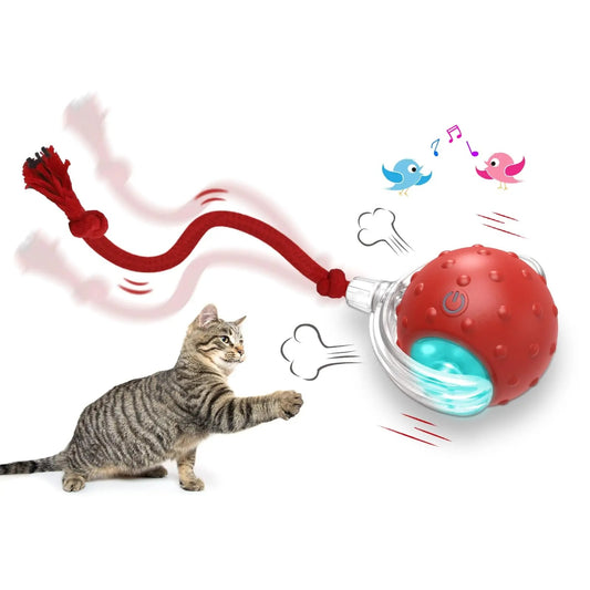Cat playing with interactive self-rolling cat toy ball and rope attachment - lifestyle shot