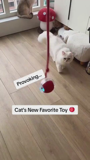 Self-rolling cat toy ball in action - TikTok style demo