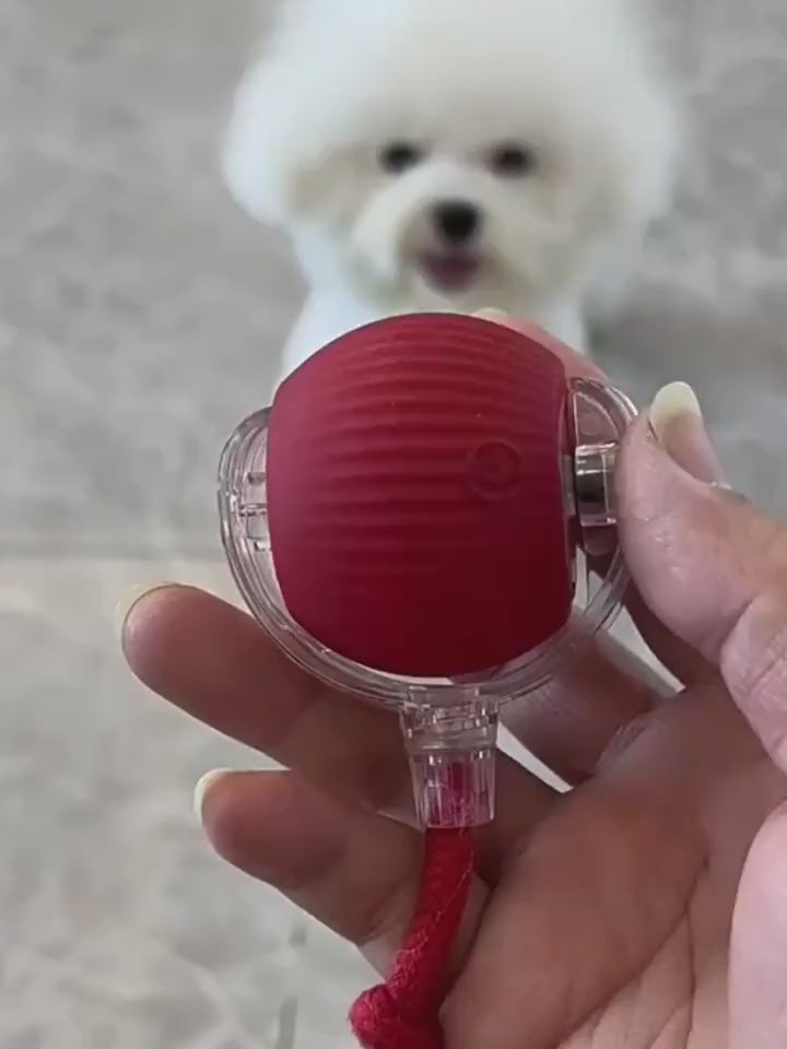 Hand holding interactive cat toy / DOG toy ball red variant - size reference demo